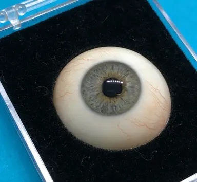 义眼初次适配与试戴